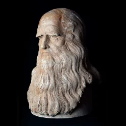 Leonardo da Vinci Bust