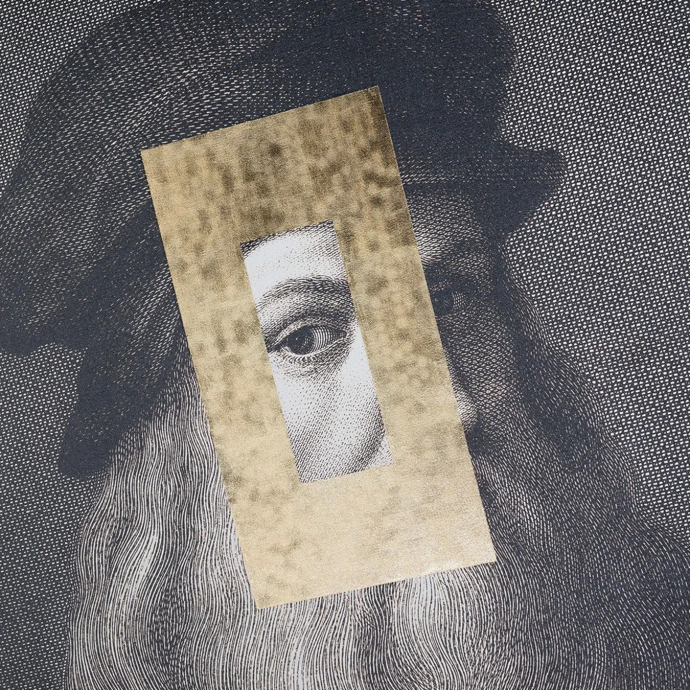 Leonardo Viso Decorative Panel