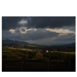 L'Isola MS_05605-1-3 Photograph