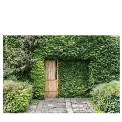 L'Isola SIM_RIM_00631 Photograph