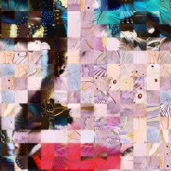 Liz Puzzling Pop Print Series 2019