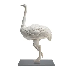 Lizzy Ostrich Cabinet Designed By Piero Manara