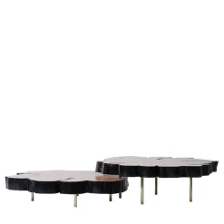 Locum II Set of 2 Coffee Tables