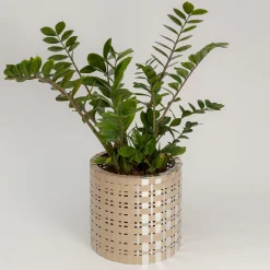 Lux Trabem Golden & Silver Cachepot