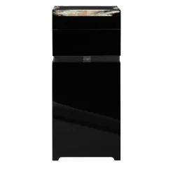 Lyra Glossy black lacquered wood and horn Speaker