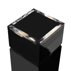 Lyra Glossy black lacquered wood and horn Speaker