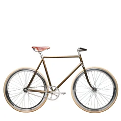 Magnifica Bicycle