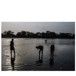 Maiores Nostri #15 Photography