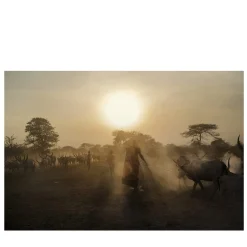 Maiores Nostri #12 Photography