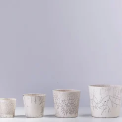 Mangkuk Set of 4 Bowls