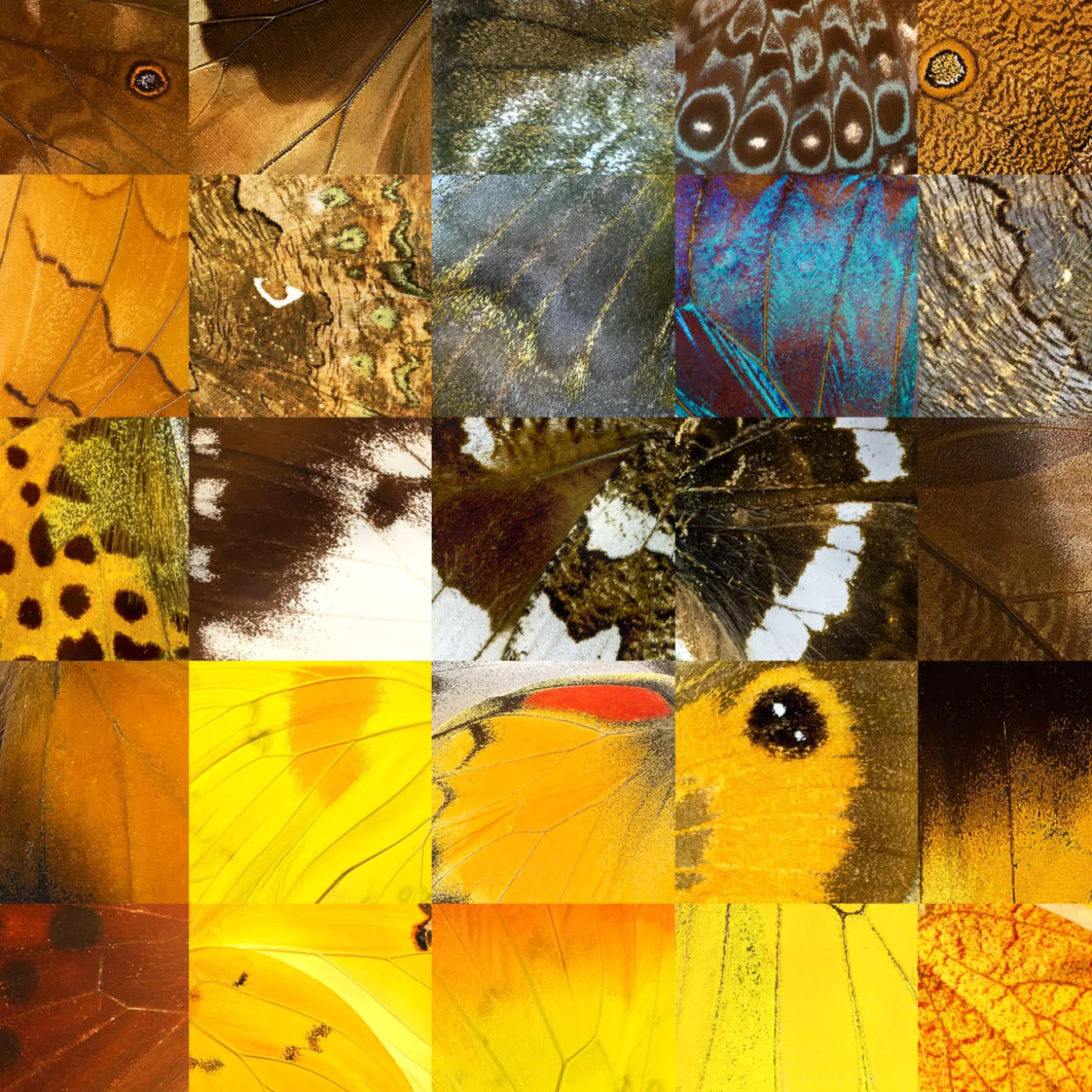 Mao Puzzling Pop Print Series 2020