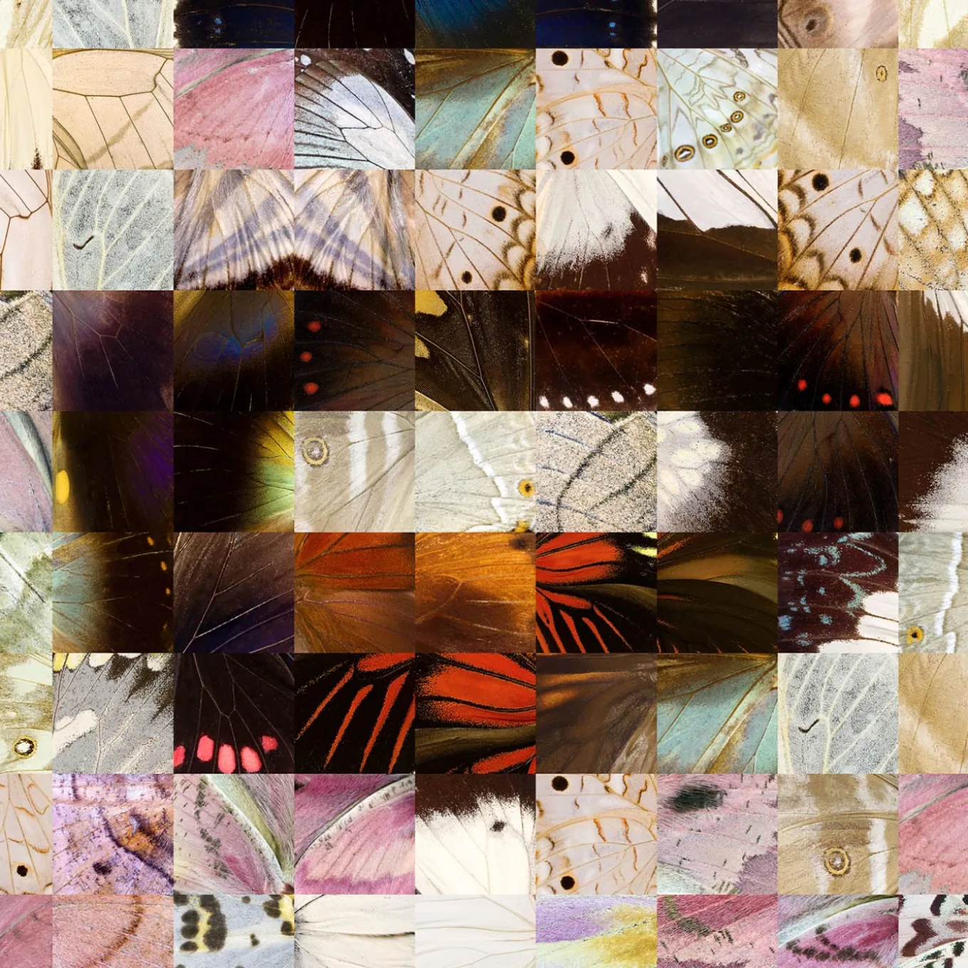 Marilyn n° 1 Puzzling Pop Print Series 2019