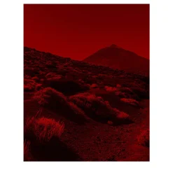 Martian 03 Photographic Print