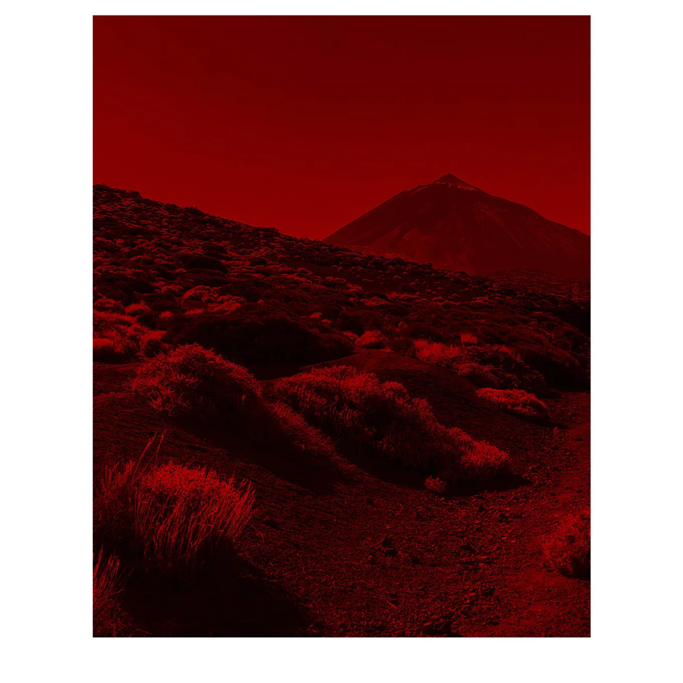 Martian 03 Photographic Print