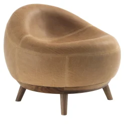 Maui Camel Armchair by Terry Dwan