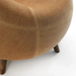 Maui Camel Armchair by Terry Dwan
