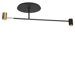 Melanocetus Gold & Black Ceiling Lamp