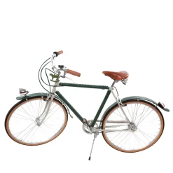 Men's Leather- Covered Bicycle Tobacco and Green