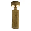 Micro Kyle Pl Gold Brass Ceiling Lamp