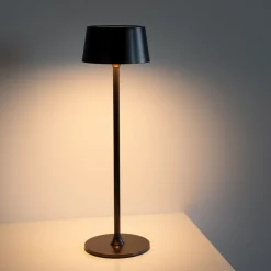 Mina Rechargeable Burnished Brown Finish Metal Table Lamp