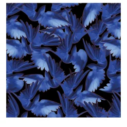 Misteriosa Wallpaper by Leonardo Dini