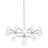 Nabila 16-Light Clear Glass Chandelier by Corrado Dotti