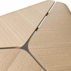 Nara Eucalyptus Coffee Table