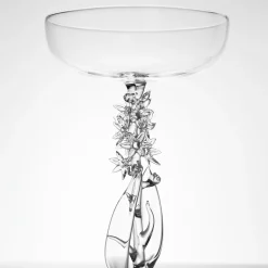 Narthecium Ossifragum Cocktail Glass