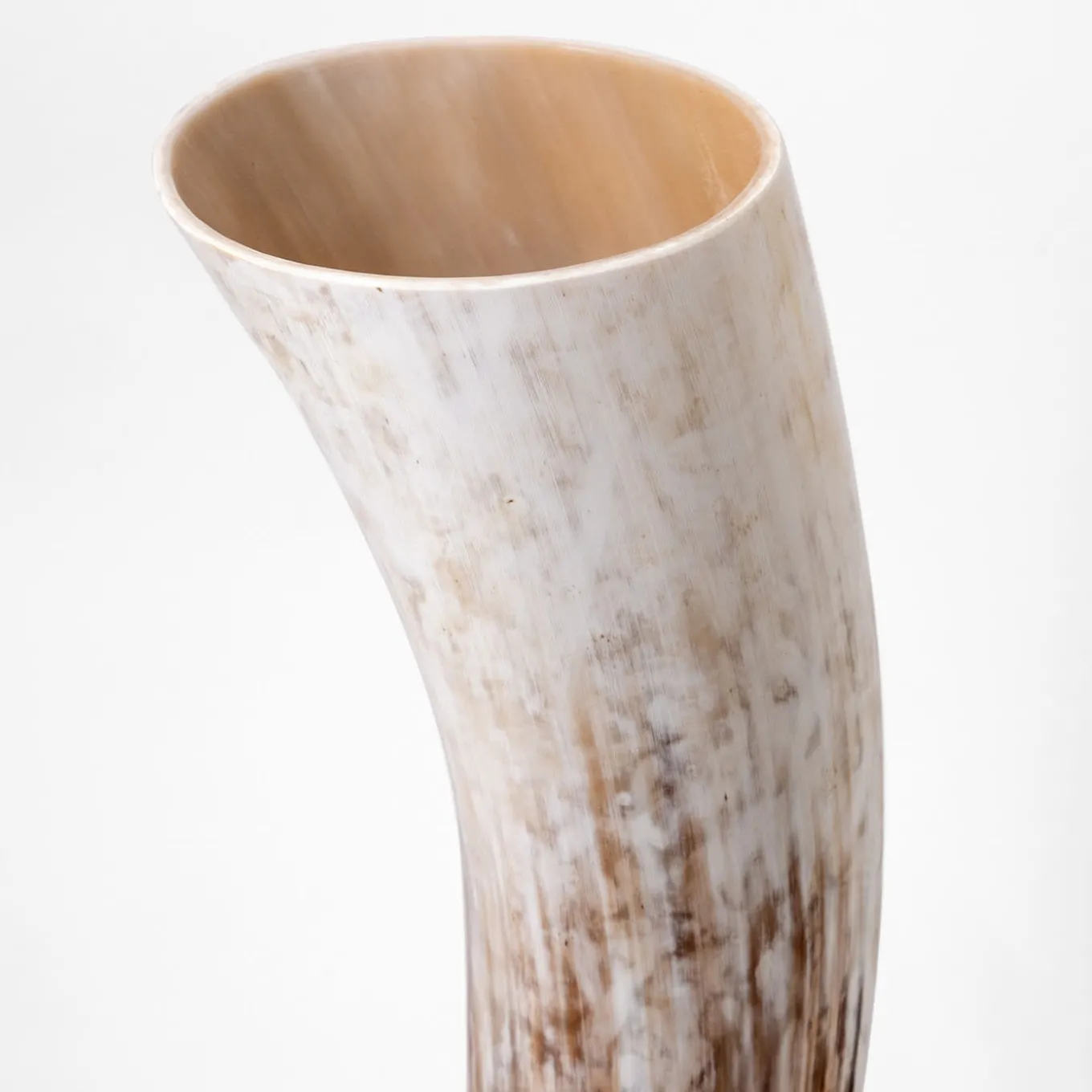 Natural Horn Vase