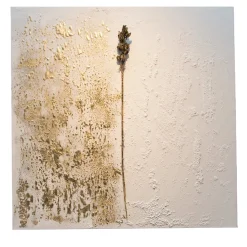 Naturalia 1.2 Artwork