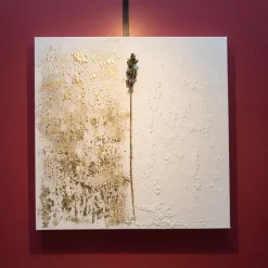 Naturalia 1.2 Artwork