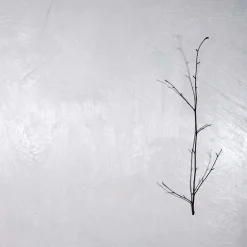 Naturalia et Mirabilia Barcellona Painting