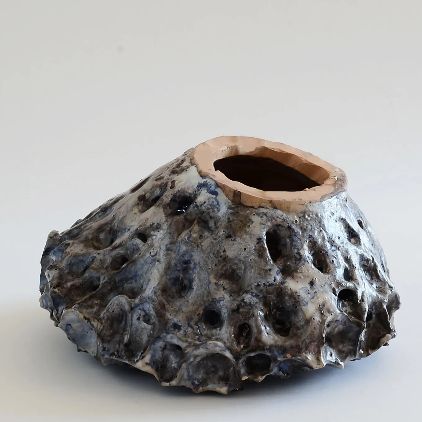 Naturalia Sculpture 2