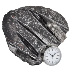 Nautilo Sculpture Clock by Nino Basso