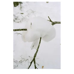 Neve Photographic Print