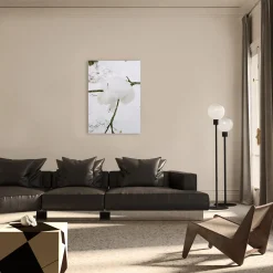 Neve Photographic Print