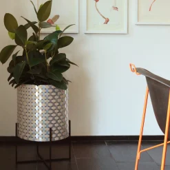 Nexum Optical 30 Gold Cachepot