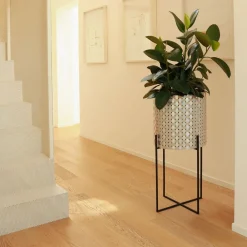 Nexum Optical 60 Gold Chachepot