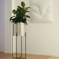 Nexum Optical 80 Gold Chachepot