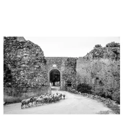 Noto Antica Black-And-White Photographic Print