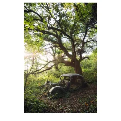 Nowhere - On Vanishing Land - Photographic Print