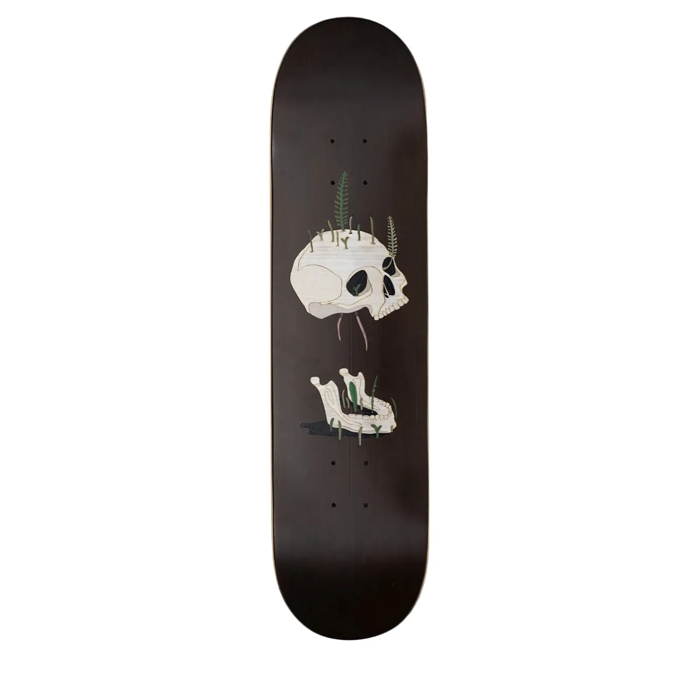 Old Skull Brown Decorative Skateboard