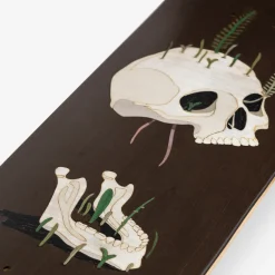 Old Skull Brown Decorative Skateboard