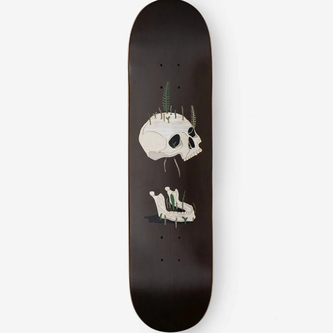 Old Skull Brown Decorative Skateboard
