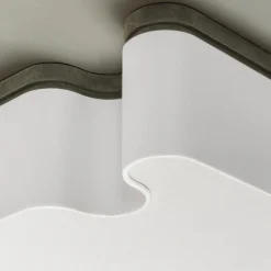 Ossicle Ceiling Lamp