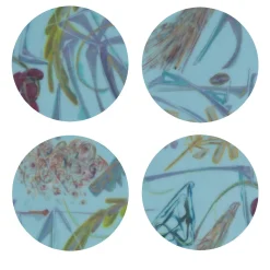Panarea Set of 8 Patterned Polychrome Coasters