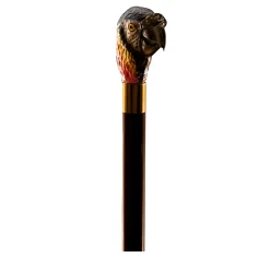 Parrot Multicolor Cane
