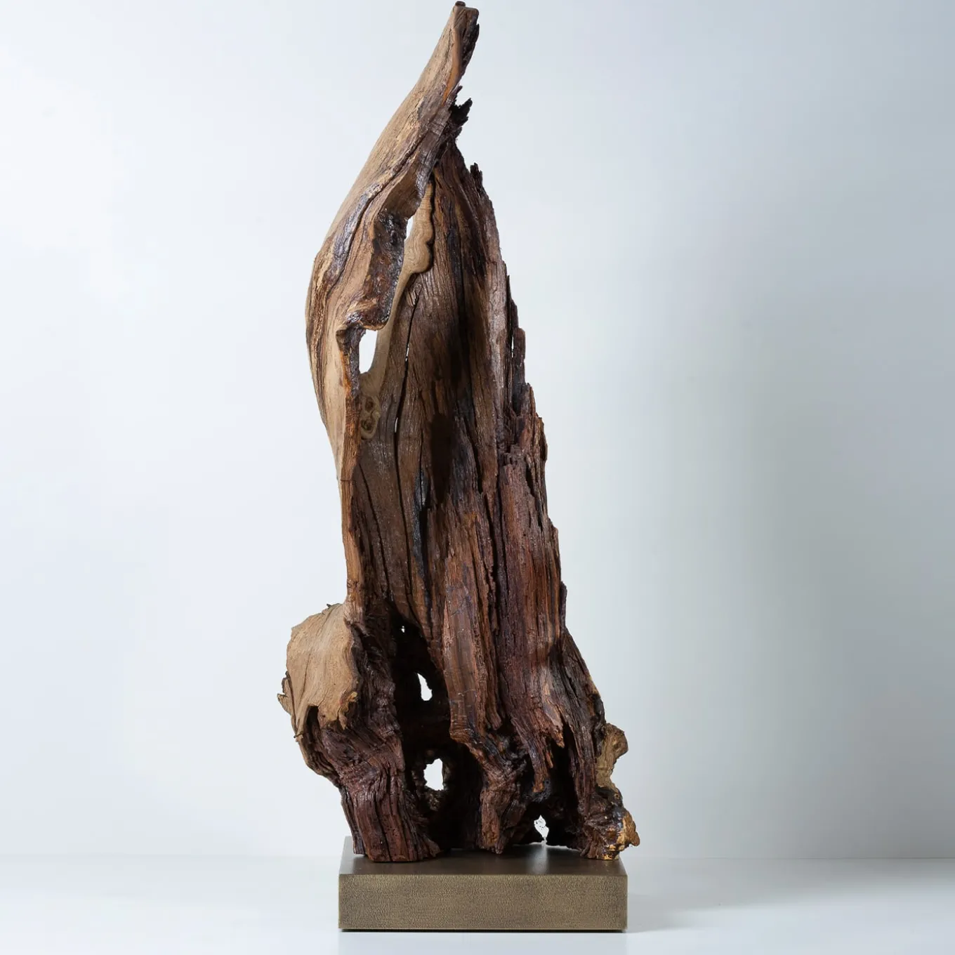 Per Mulieres II Brown Sculpture