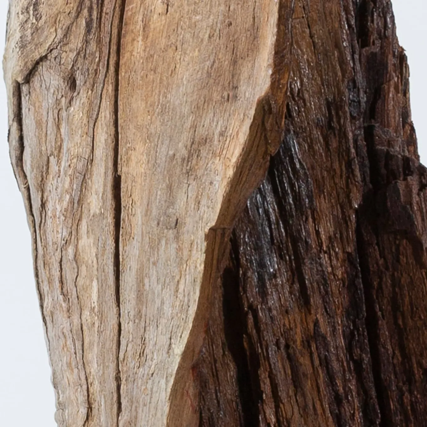 Per Mulieres II Brown Sculpture