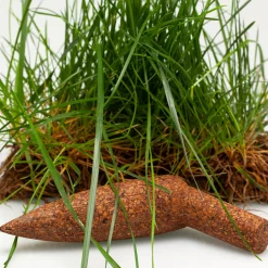 Piantatoio Planter by Matali Crasset